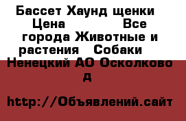 Бассет Хаунд щенки › Цена ­ 20 000 - Все города Животные и растения » Собаки   . Ненецкий АО,Осколково д.